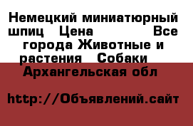 Немецкий миниатюрный шпиц › Цена ­ 60 000 - Все города Животные и растения » Собаки   . Архангельская обл.